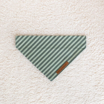 Bandana Stripy Stripes